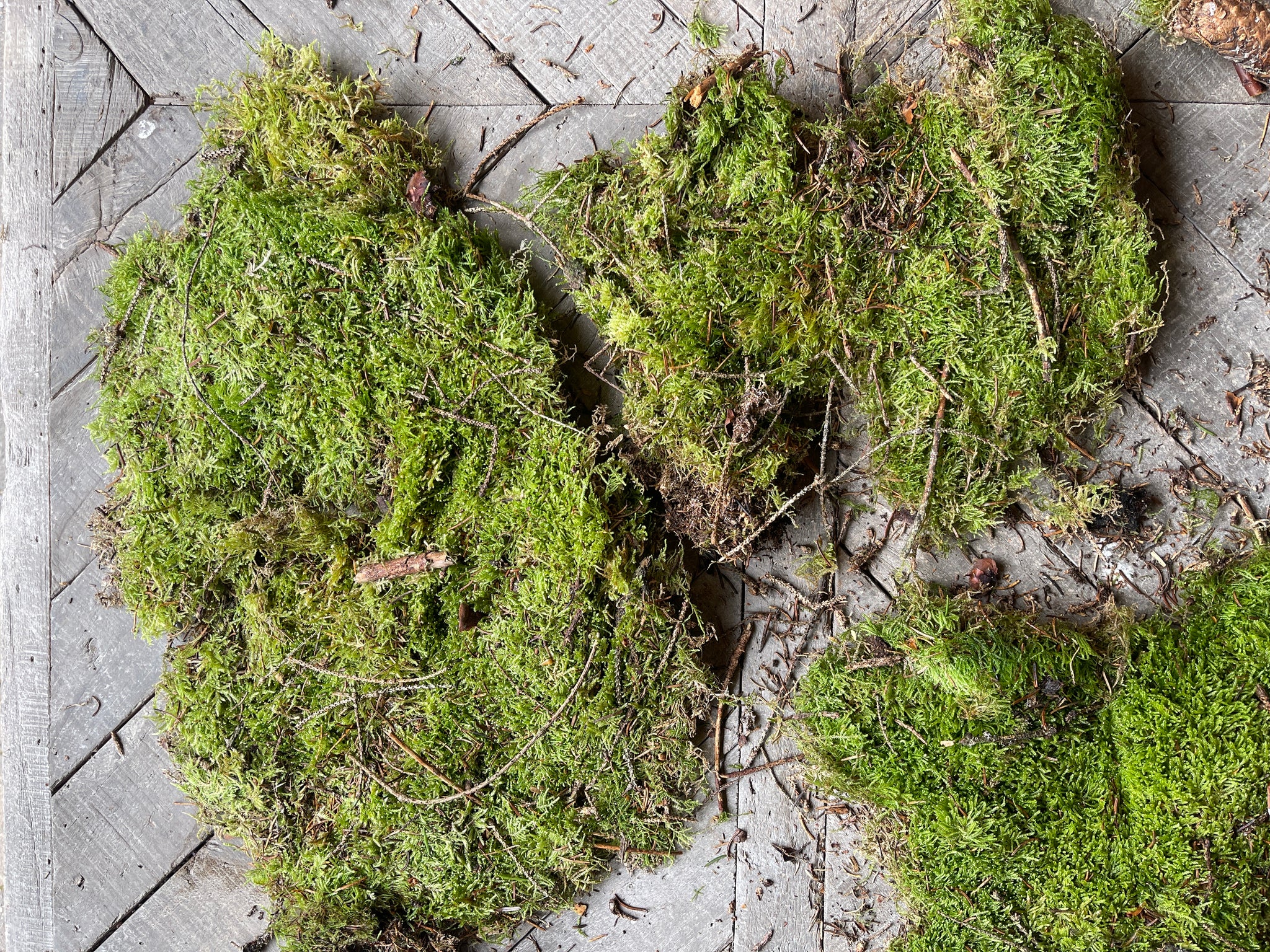 Moss Sheets