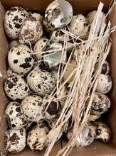 Load image into Gallery viewer, Box of cracked quails eggshells
