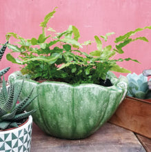 Load image into Gallery viewer, Rustic green shell planter
