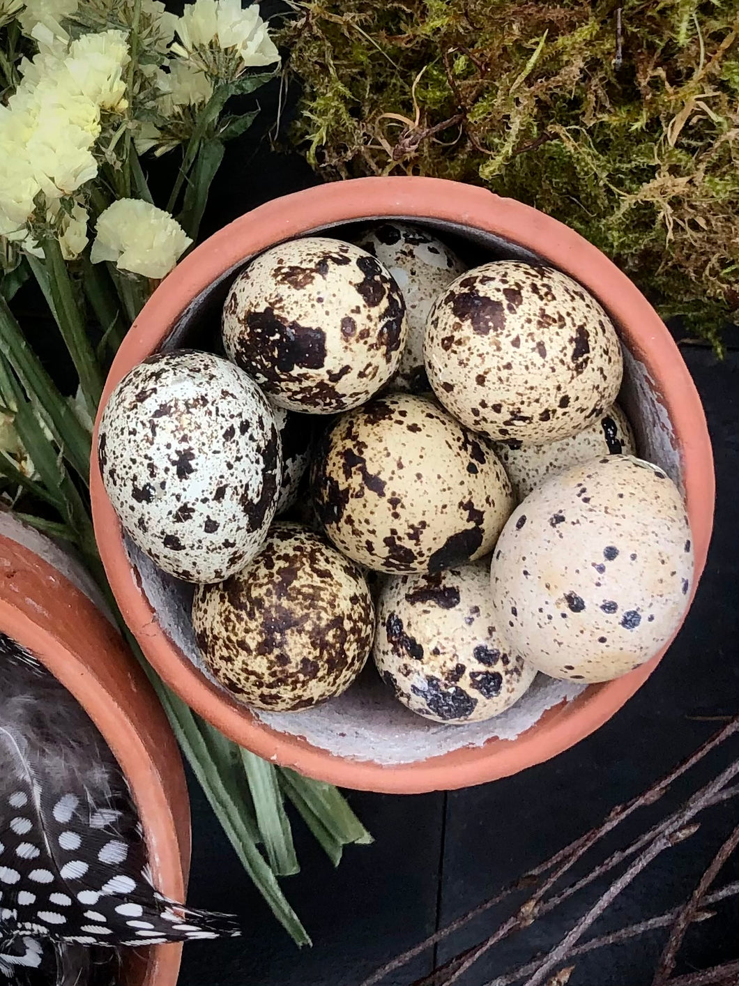 Box of cracked quails eggshells