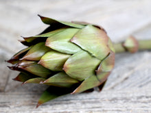 Load image into Gallery viewer, Faux Artichoke - green
