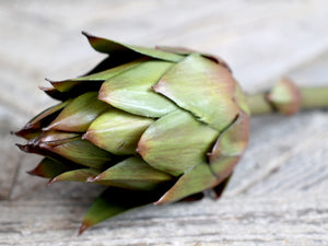 Faux Artichoke - green