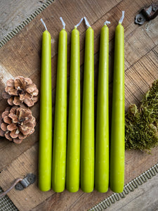 Moss green tapered dinner candles