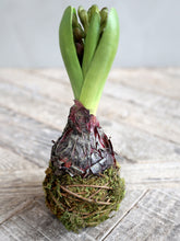 Load image into Gallery viewer, Faux hyacinth bud
