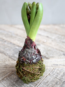 Faux hyacinth bud