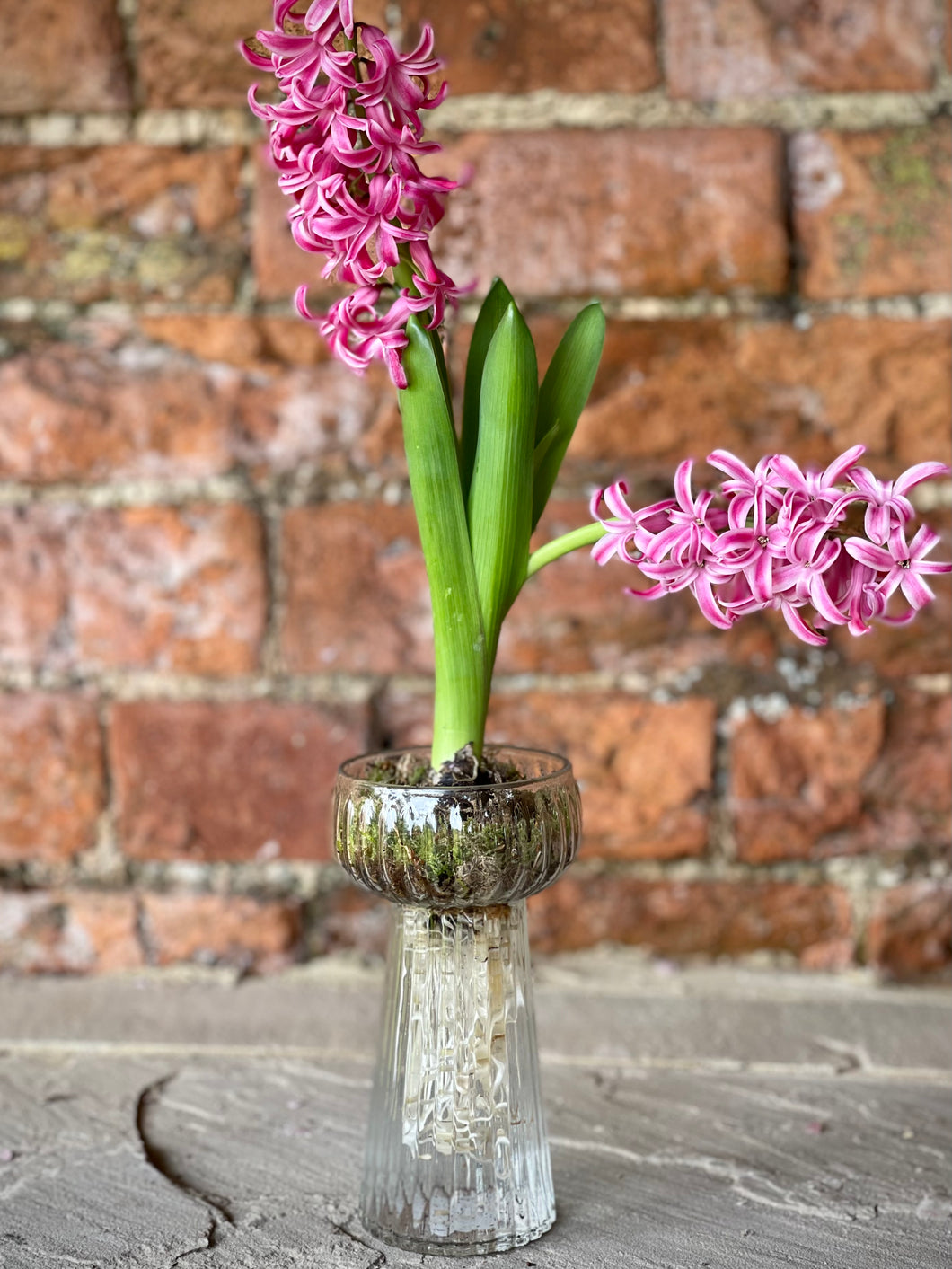 Reeded bulb vase