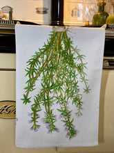 Load image into Gallery viewer, Basil &amp; thyme tea towel - light background
