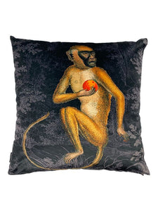 Cheeky Monkey Cushion